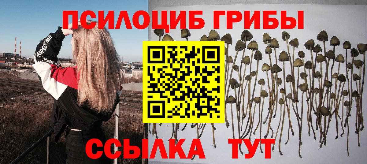 Псилоцибиновые грибы мухоморы  закладка  Хабаровск  Вход с VPN  Псилоцибиновые грибы ЛСД 